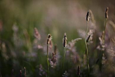《暗黑破坏神4》通关后将提供数千小时的娱乐时间